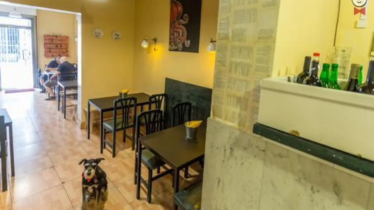 Restaurante Gastrochigre en Gijón