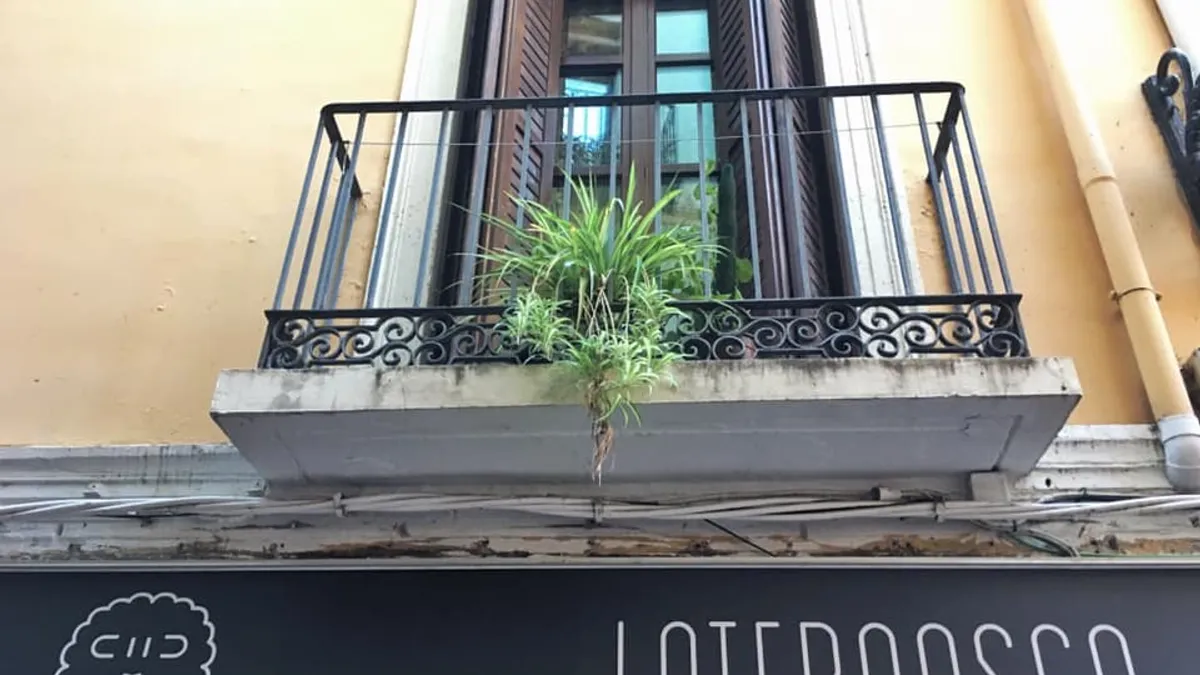 Restaurante La Ternasca en Zaragoza